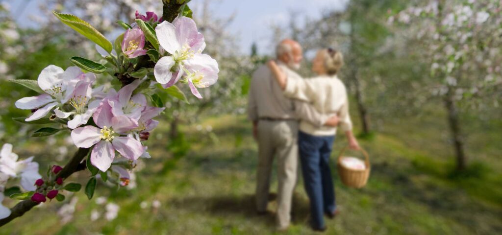 Gentle Spring Reset Routines for Seniors in Coastal Living