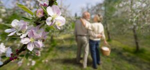 Gentle Spring Reset Routines for Seniors in Coastal Living